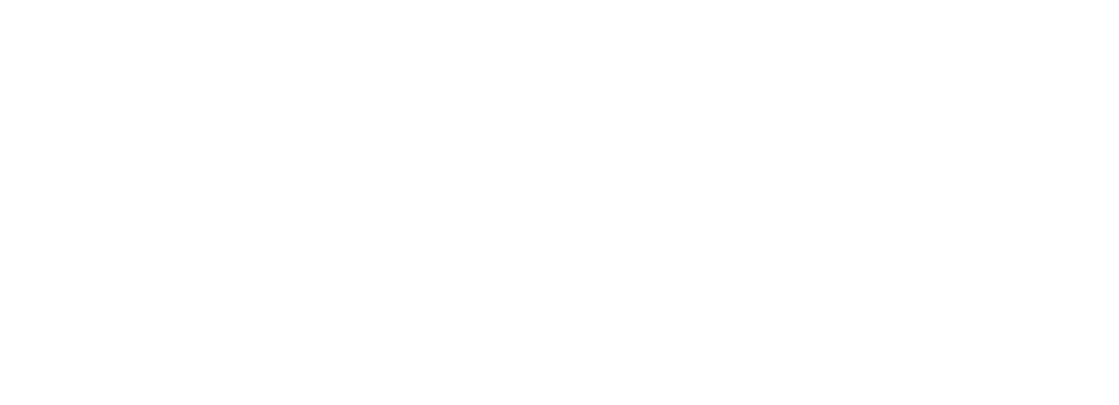 Light Logo